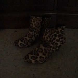 Meet your Posher, Loretta